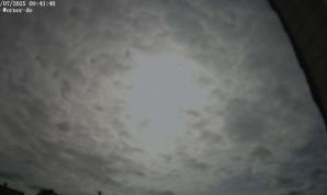 09