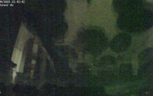 44