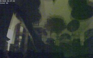 50