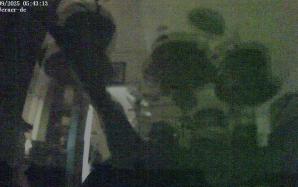 44