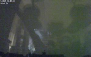 44