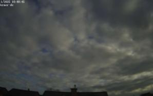 50