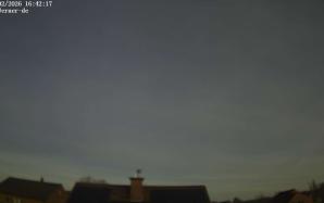 44