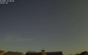 44