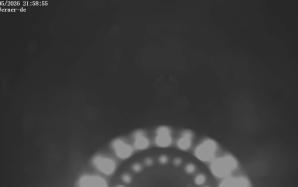 00