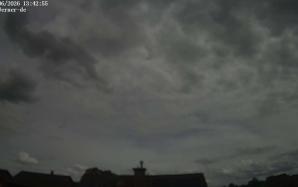 44