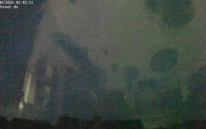 44