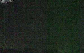 44