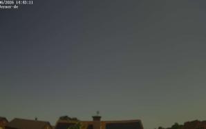 44