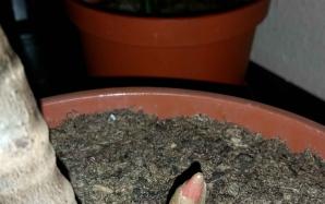 20151119_220722