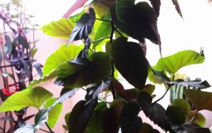 20151202_144914