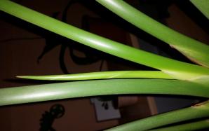 20170219_032826