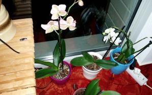 20170219_032946