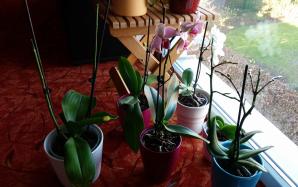 20170327_183526