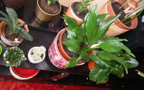 20170416_073807