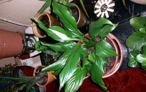 20170426_025641