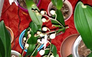 20170426_025802