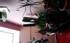20170517_062515
