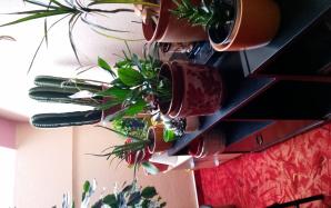 20170517_062519