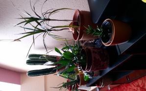 20170517_062522