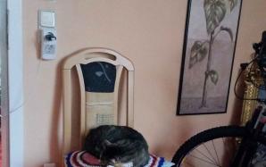 20170517_062536