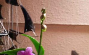 20170617_204033