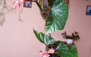 orig_20150428_152140