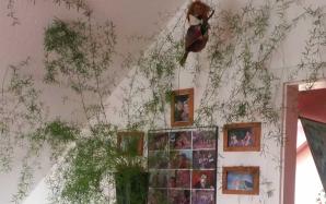 orig_20150624_114559