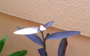 orig_20150714_153829