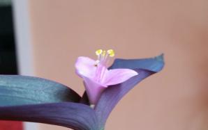 orig_20150714_154232