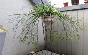 orig_20150812_150359