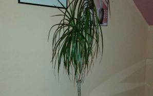 orig_20150922_221456~0