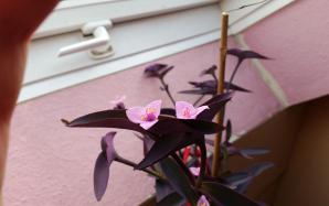 orig_20151021_164301~0