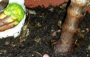 orig_20151106_153947