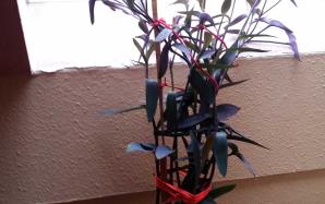 orig_20151106_154225