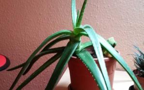 orig_20151106_154235