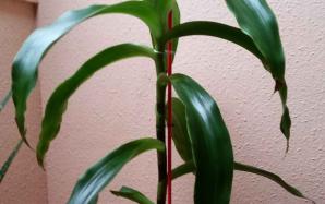 orig_20151106_154355~0