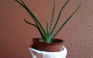 orig_20151106_154408