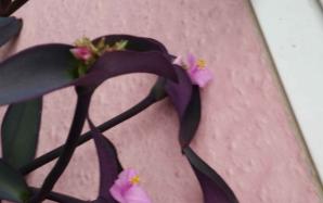 orig_20151207_094815