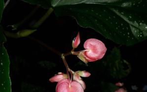 orig_20151210_192717