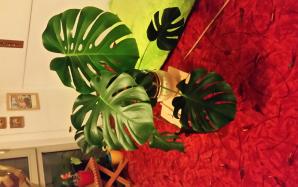 orig_20161007_195943