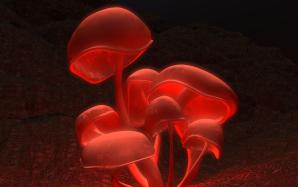 011fluorescence21600